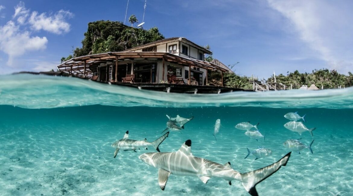 Misool Indonesia 8.jpg